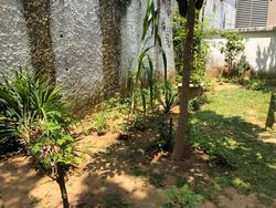 Phillips Avenue (D19), Terrace #215068471